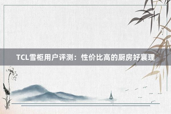 TCL雪柜用户评测：性价比高的厨房好襄理